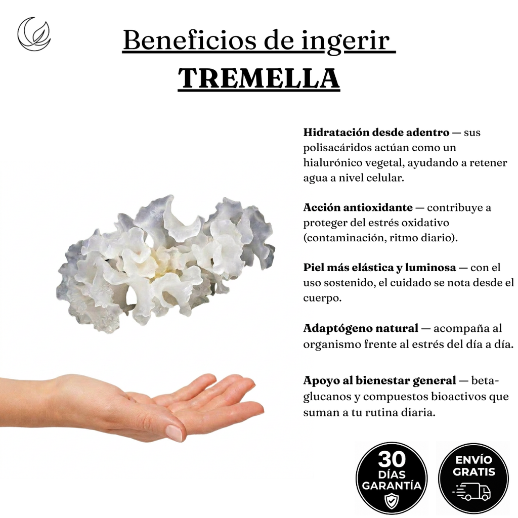 Ritual Completo — Crema + Tintura